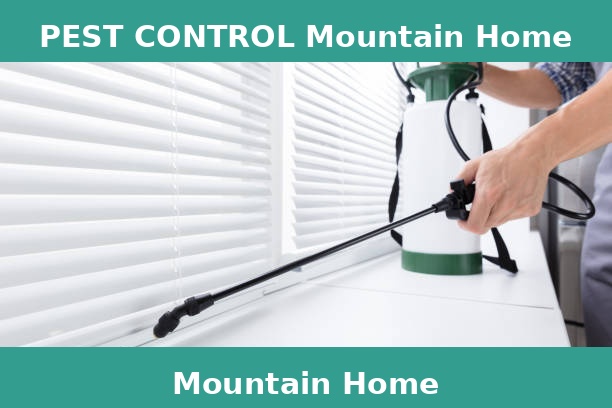 PEST CONTROL Mountain Home